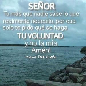 Meet your Posher, Frank